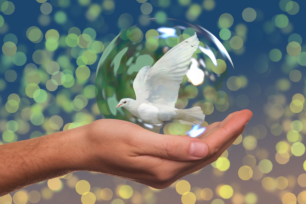 dove-of-peace-2489589_1280